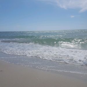 Meet your Posher, Tammie